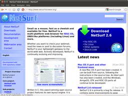 NetSurf Lightweight Web Browser